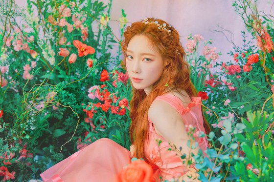 태연 인스타그램