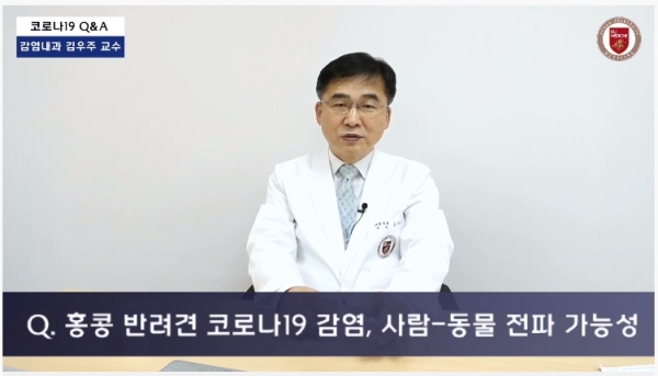 고려대학교구로병원 youtube