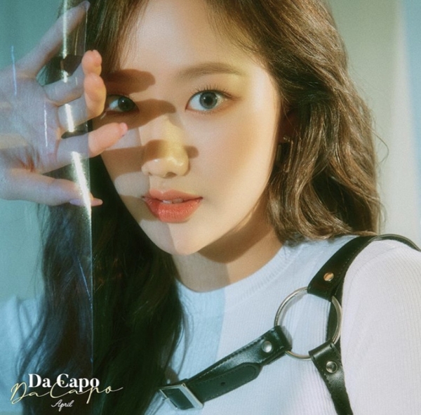 DSP미디어