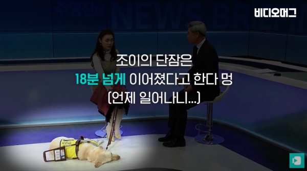 비디오머그
