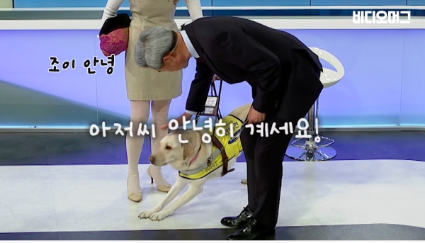 비디오머그